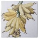 Suche nach redoute fliesen Pierre