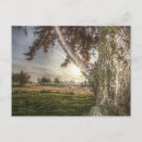 Suche nach hdr postkarten Himmel