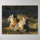 Suche nach tierjagd poster Wild lebende tiere
