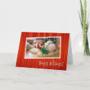 Suche nach viszla postkarten Haustier