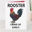 Suche nach funny bird karten Vogelvogel