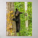 Suche nach kletternd poster Cathy