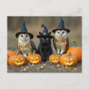 Suche nach halloween eule postkarten Katze
