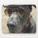 Suche nach sonnenbrille mousepads Tier