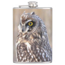 Suche nach eule flachmänner Raubvogel