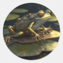 Suche nach frog aufkleber Kröte