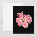 Suche nach rosa blumenstrauß postkarten Blumig