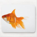 Suche nach seitenansicht mousepads Tier