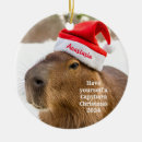 Suche nach capybara ornamente Weihnachten