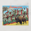 Suche nach south dakota postkarten Büffel