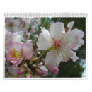 Suche nach israel kalender Christlich