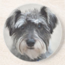 Suche nach dog untersetzer Haustiere