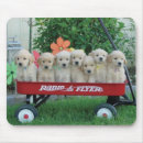 Suche nach lastwagen mousepads Haustiere