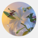 Suche nach weiße lilie aufkleber Blume