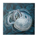 Suche nach nautilus fliesen Natur