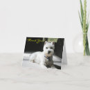 Suche nach schnauzer mini Niedlich