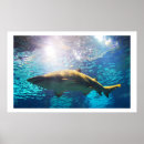 Suche nach led poster Fotograf