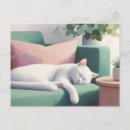 Suche nach weiße katzen postkarten Katzenliebhaber