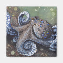 Suche nach unterwasser magnete Oktopus