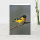 Suche nach baltimore karten Bird