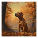 Suche nach rhodesien poster Hund