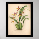 Suche nach vintage lila poster Blume