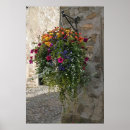Suche nach hängende poster Blume