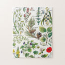 Suche nach kräuter puzzle Pflanze