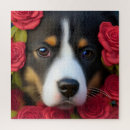 Suche nach rote rosen puzzle Hund