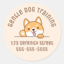 Suche nach shiba inu welpe aufkleber Haustier