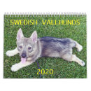 Suche nach vallhund Schwedischer vallhund