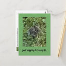 Suche nach rabbit postkarten Niedlich