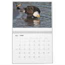 Suche nach vögel kalender Alaska