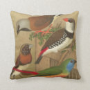 Suche nach plakat kissen Natur