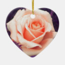 Suche nach lavendel blume ornamente Rose