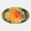 Suche nach aprikosen aufkleber Blumenreich