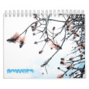 Suche nach magischer kalender Blume