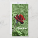 Suche nach rote rosen fotokarten Liebe