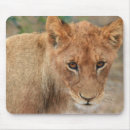 Suche nach alles fressend mousepads Fleisch fressendes tier