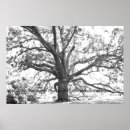 Suche nach google poster Fotografie