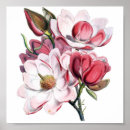 Suche nach rosa magnolie poster Magnolien