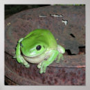 Suche nach tropischer frosch poster Baum