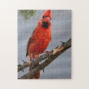 Suche nach roter vogel puzzle Geflügel