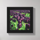 Suche nach lila tulpen leinwandbilder Natur
