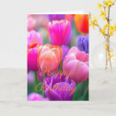 Suche nach rosa tulpen karten Für sie
