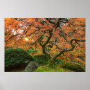 Suche nach ahornbaum poster Oregon