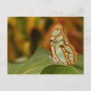 Suche nach stele poster Natur