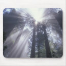 Suche nach jamie mousepads Umwelt