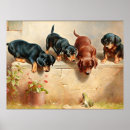 Suche nach niedliche dackel poster Tiere