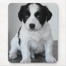 Suche nach sitzender hund mousepads Hunde